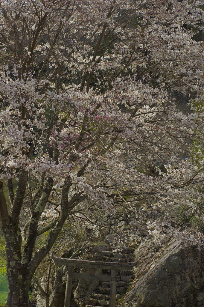 石の鳥居