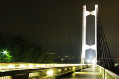 秩父公園橋　歩道