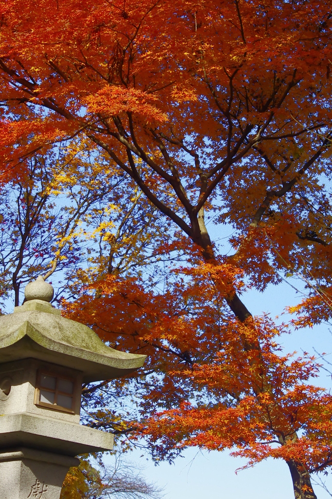 高麗神社