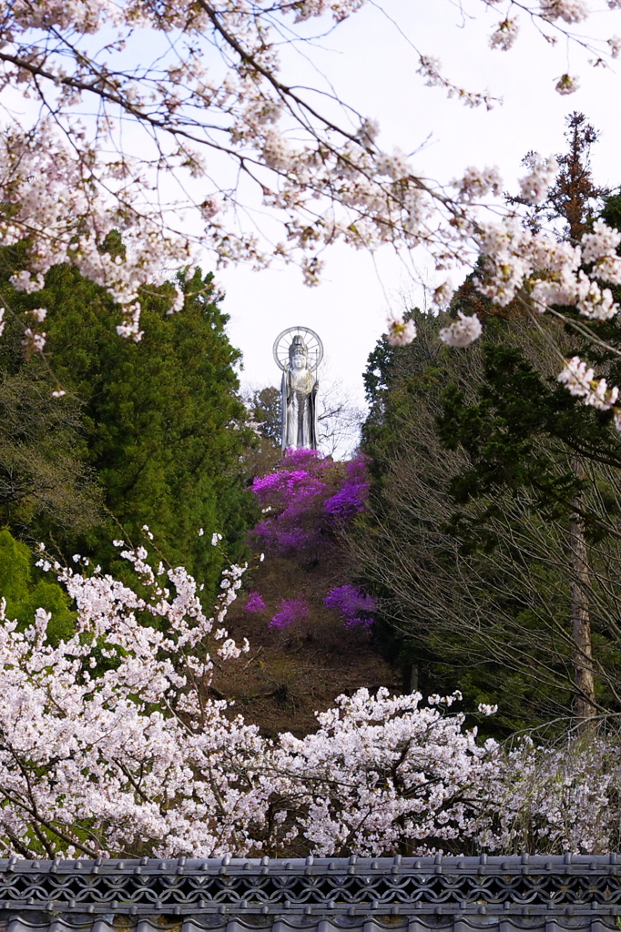 秩父札所２７番　龍河山大淵寺　護国観音