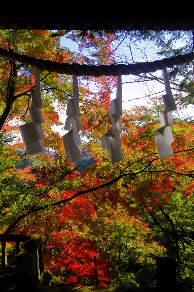 東郷神社