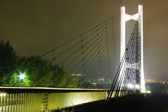 秩父公園橋　黒いハープの弦