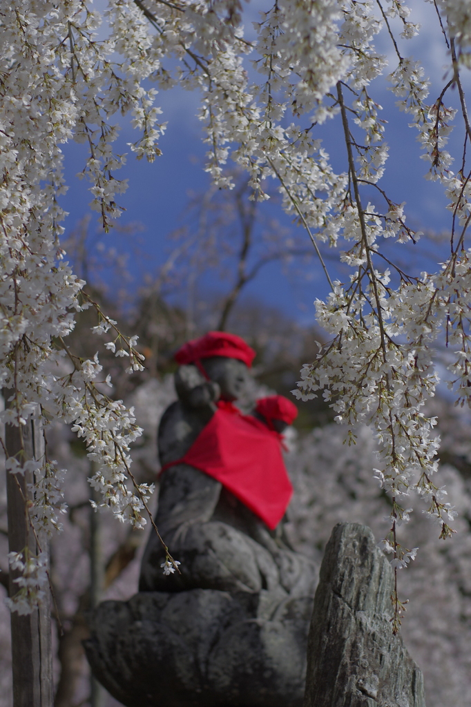 お地蔵さんと桜