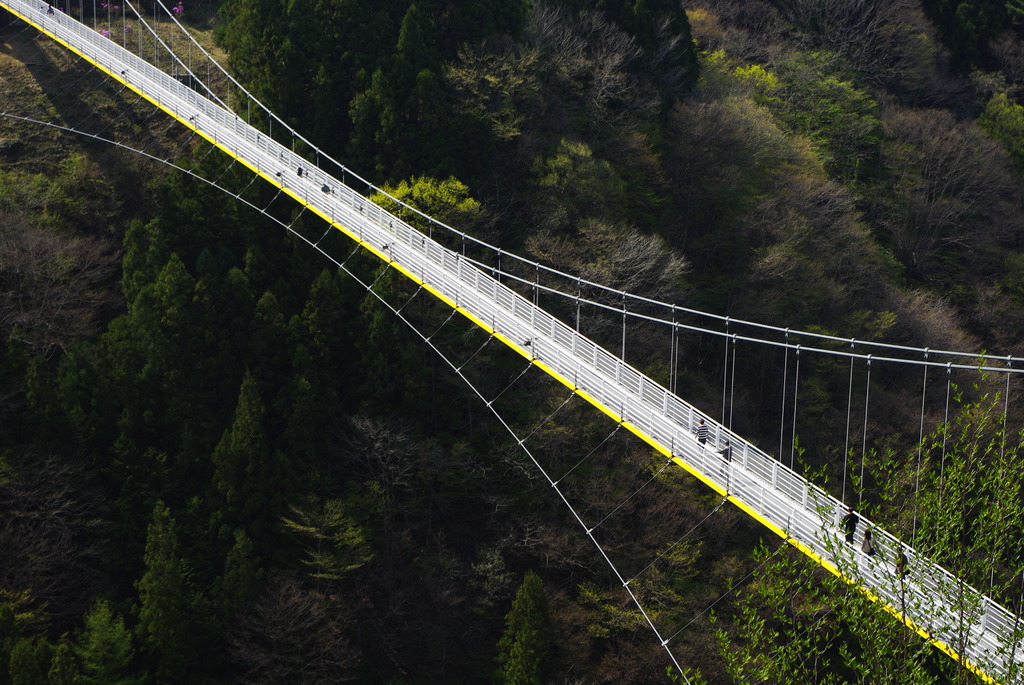 Sky Bridge（・・）yellow line