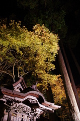 三峯神社　国常立神社