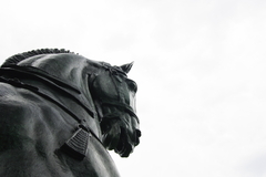 Unidentified Mysterious Animal つまりumaってか