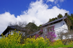 お花畑のある家