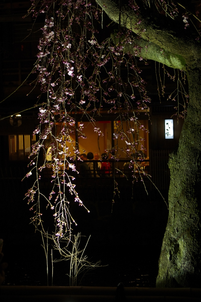 京都スナップ　かにかくに祇園は恋し　白川　　
