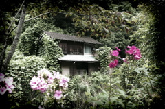 すてきな廃屋