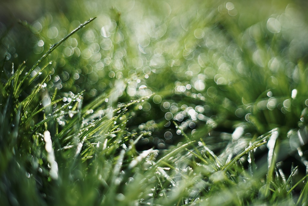 雨上がる