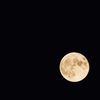 今宵・月夜
