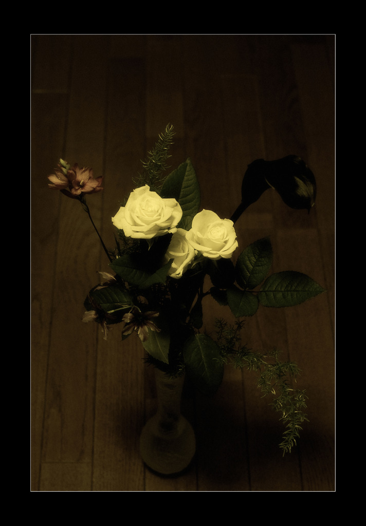 white roses