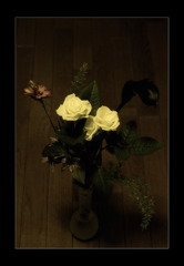 white roses