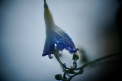 雨の日の印象