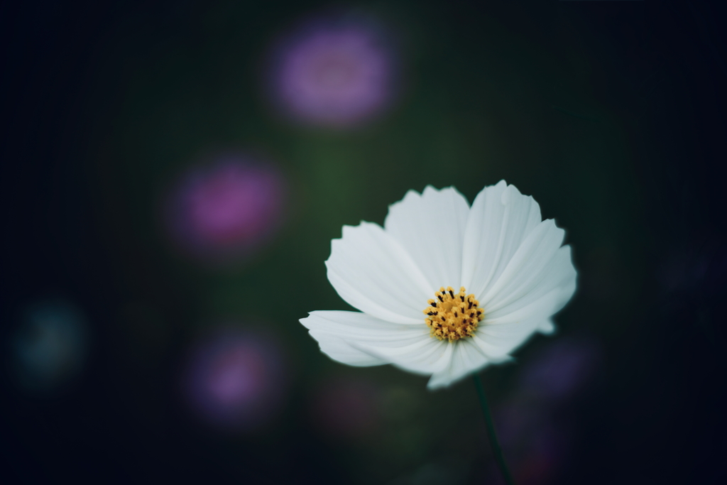 秋の兆し 5