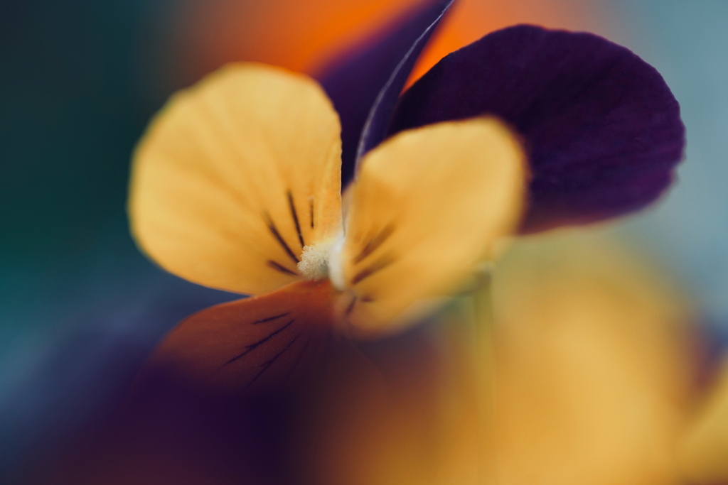 colors 2