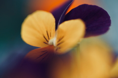 colors 2