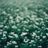 雨天蕎麦
