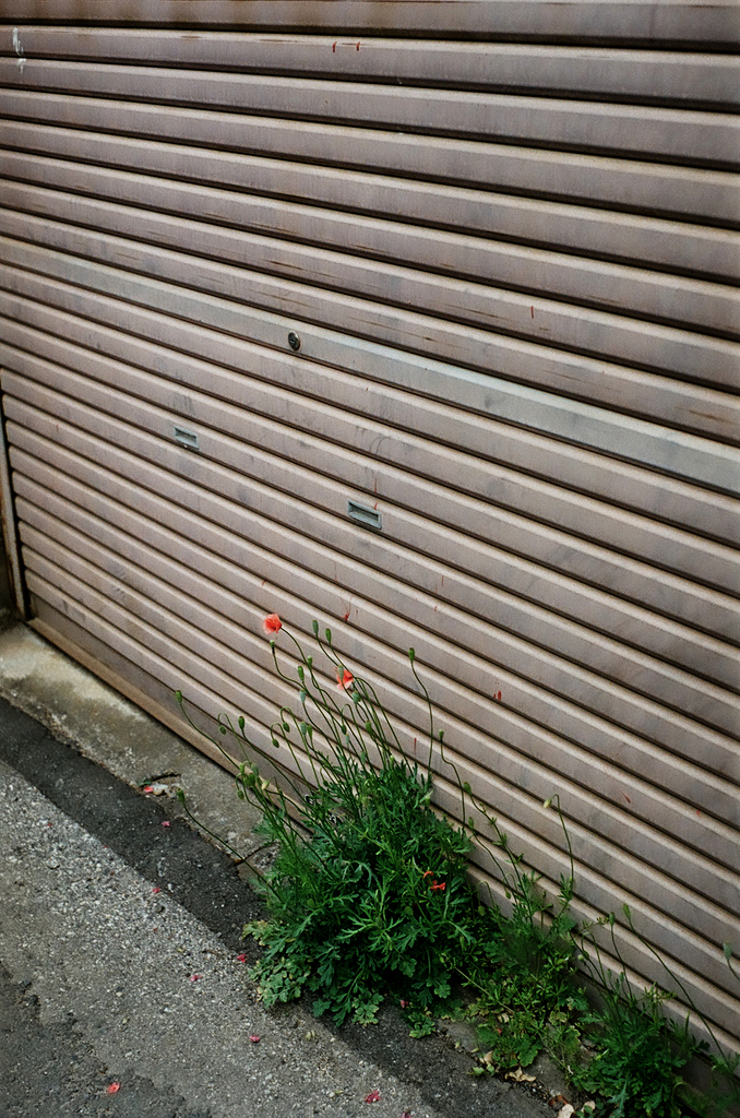 シャッター前