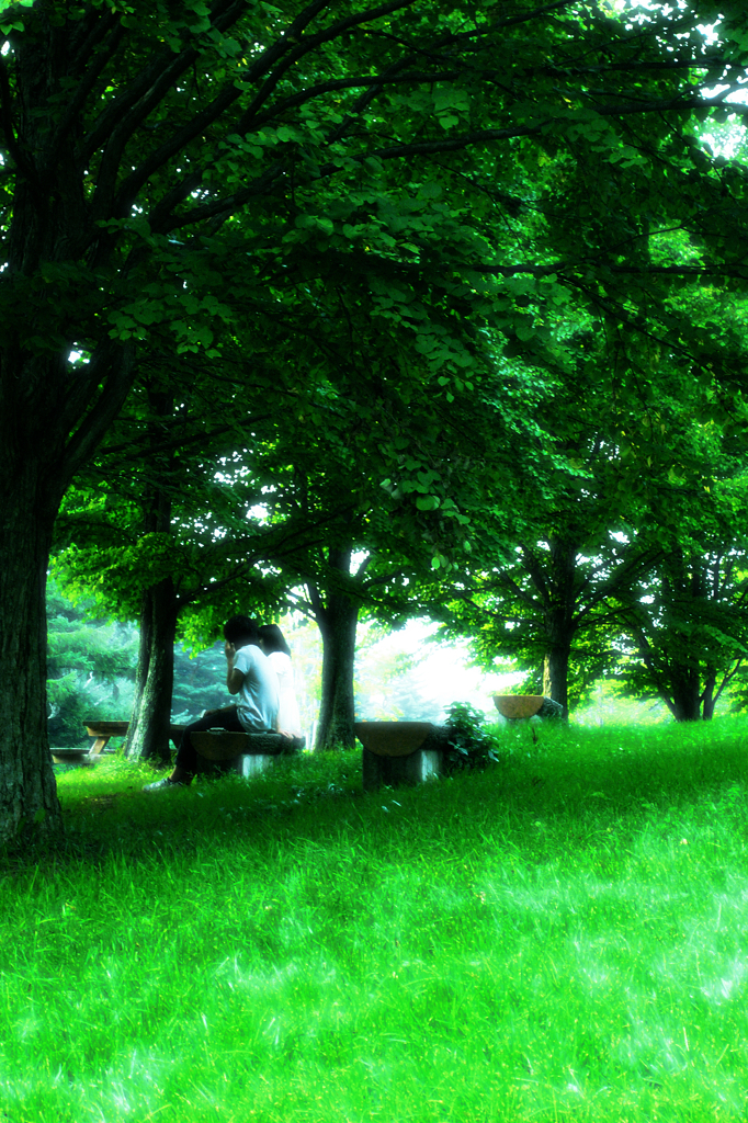 summer green