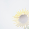 暑く眩しい夏