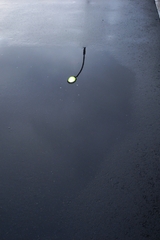 水溜り・雨上がり