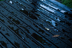 雨上がり