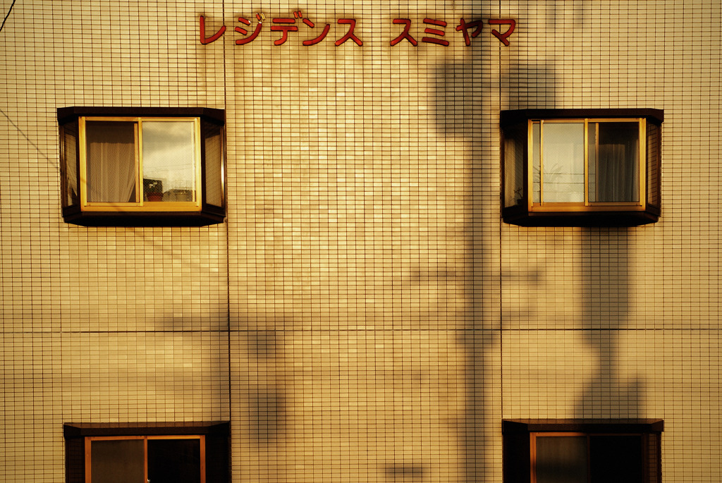 夕日