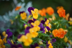 colors 3