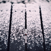 雪。c