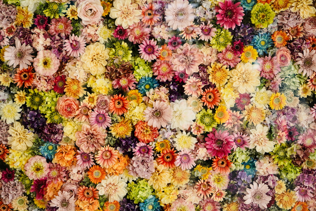 花の園