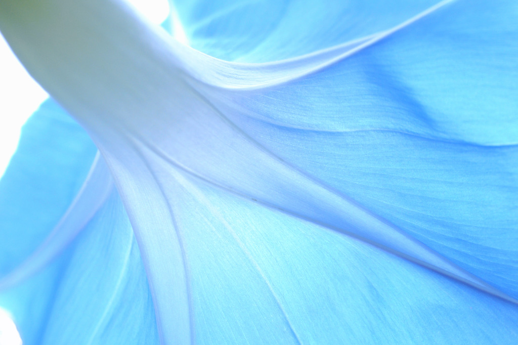 Translucent Blue