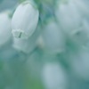 淡くソフトに