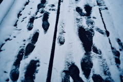 雪・足跡