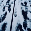 雪・足跡