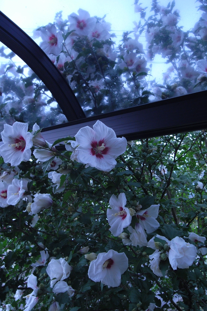 今日の天気 - 2 -