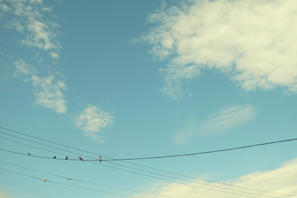 今日の空 2009.08.23