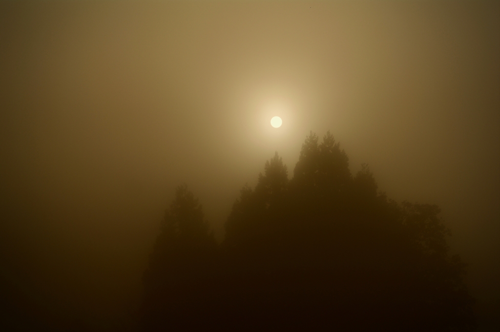 霧の朝 a