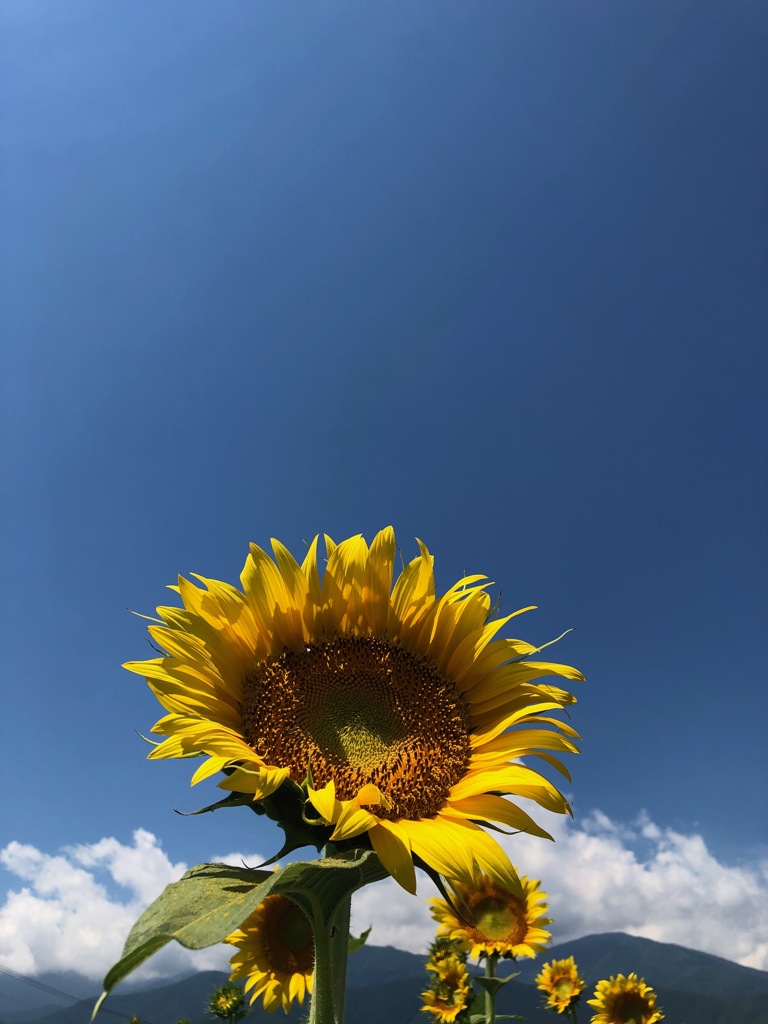 今日の空2019.08.09