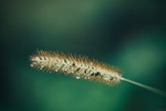 前夜は雨 b 前夜は雨 b