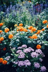 夏の花園 b
