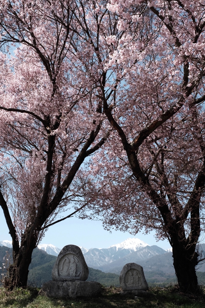安曇野の春