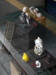 ショーウィンドウ