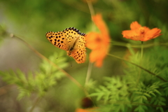 花園で a