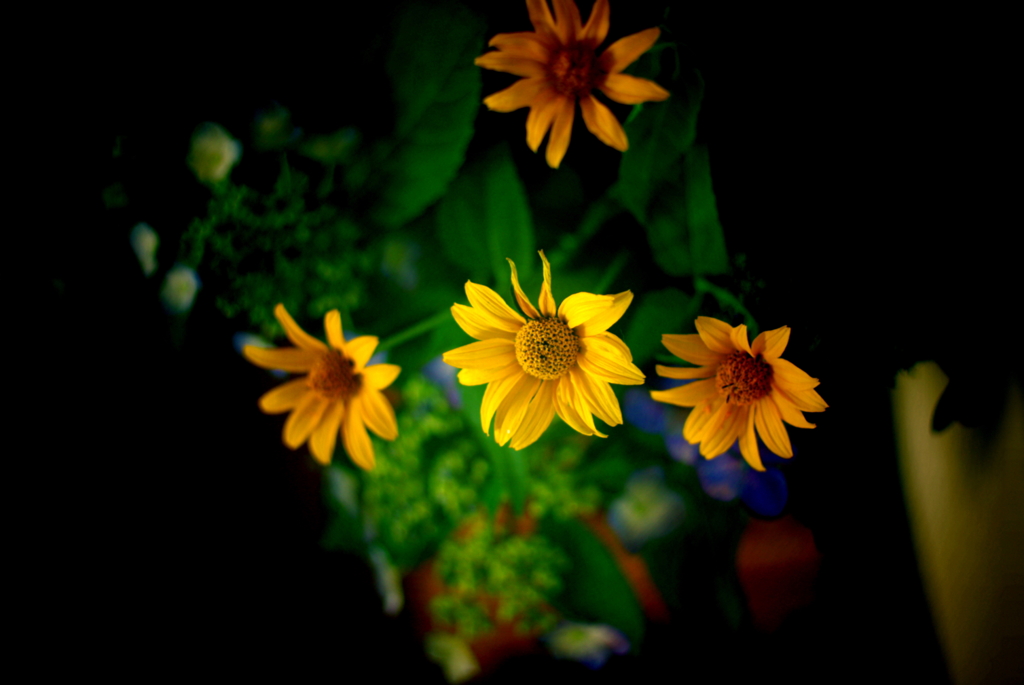 flowers