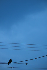 今日の空 2009.09.27