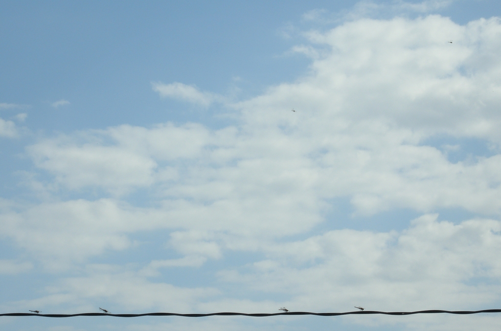 今日の青空 2009.09.06