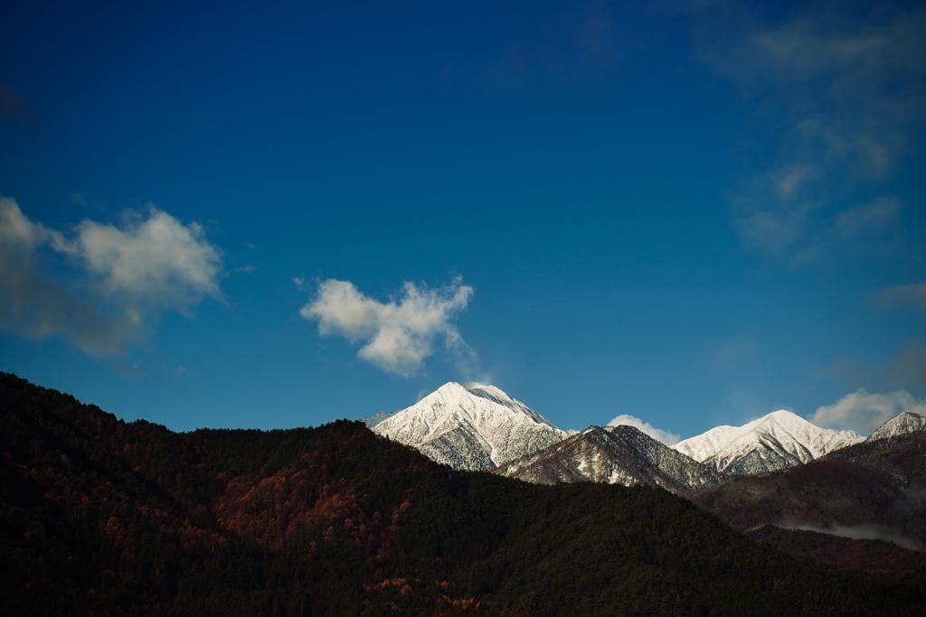 冠雪