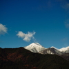 冠雪