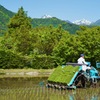 新緑田植図